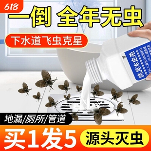 下水道小飞虫灭杀神器杀虫剂蛾蚋管道除虫卫生间厕所蛾蠓去除飞虫