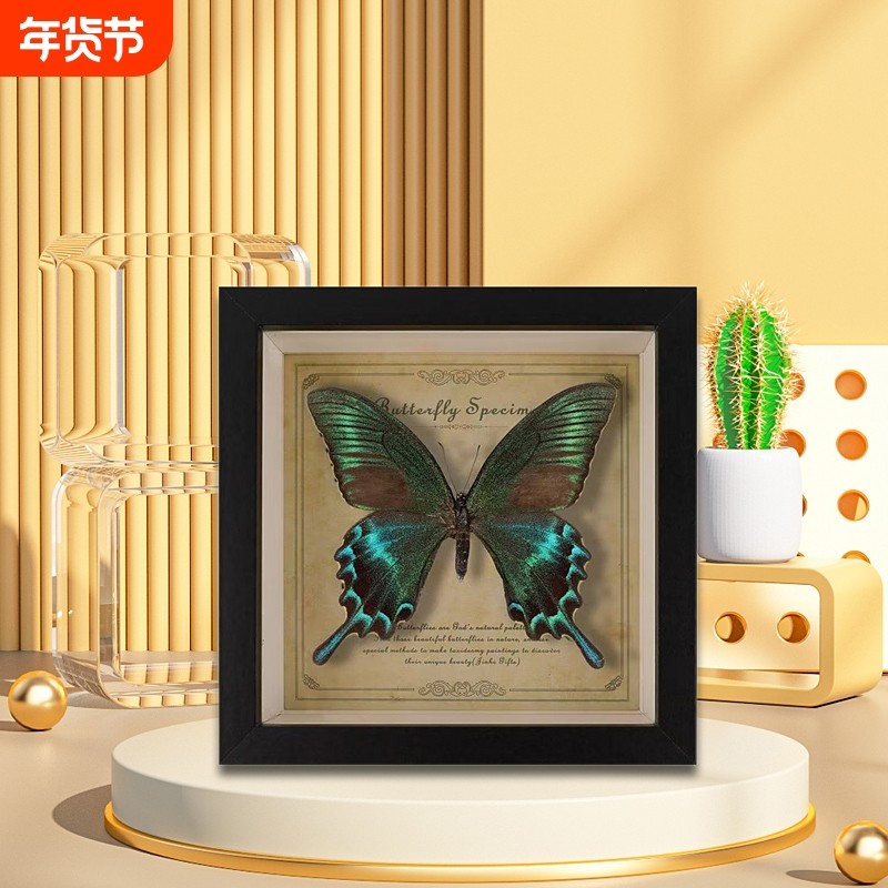 罕见蝴蝶标本摆件展示框相框艺术品装饰画教师礼物成品真蝴蝶原蝶