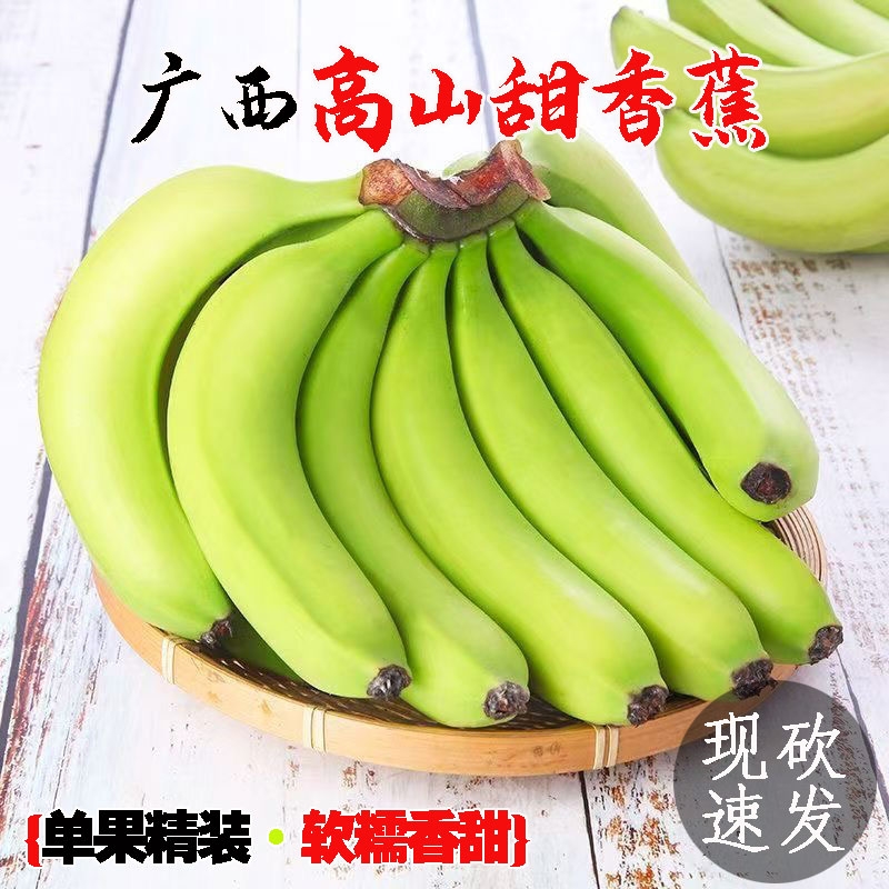 [精选]高山甜香蕉单根青绿皮大香蕉当季新鲜水果非云南小米蕉芭蕉