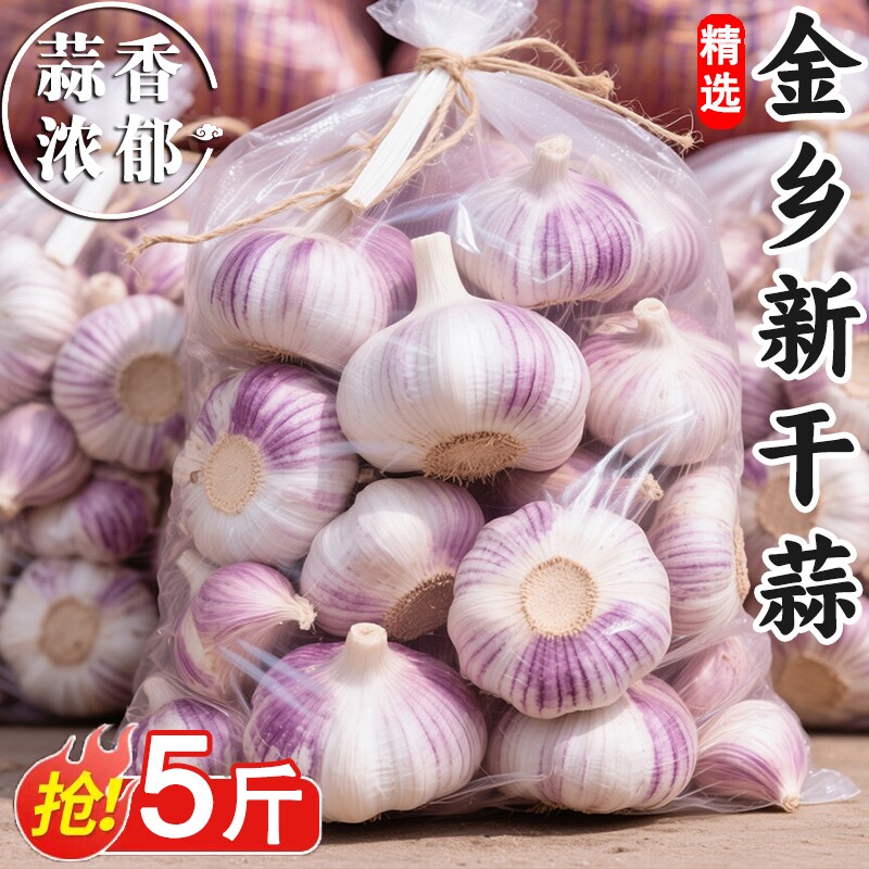 山东紫白皮大蒜头新干蒜特大果干当季农家自种新鲜蔬菜批发价鲜蒜