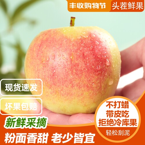 现摘当季粉面沙甜苹果宝宝刮果泥
