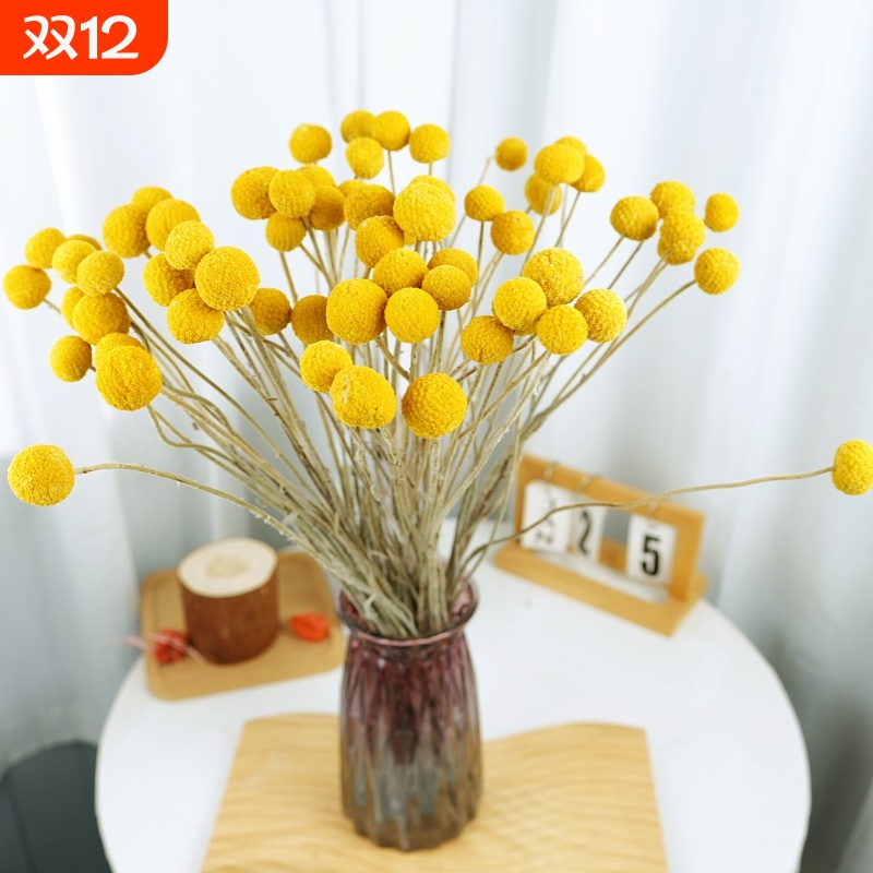 真干花黄金球套装干花天然风干