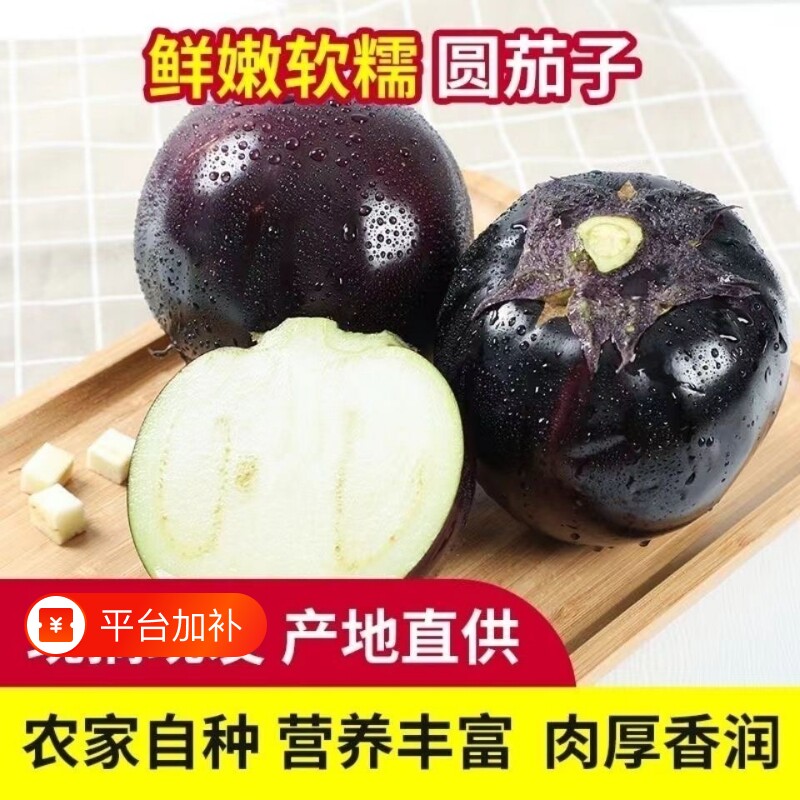 山东圆茄子圆茄当季茄子批发现摘现发农家蔬菜整箱新鲜自种鲜嫩