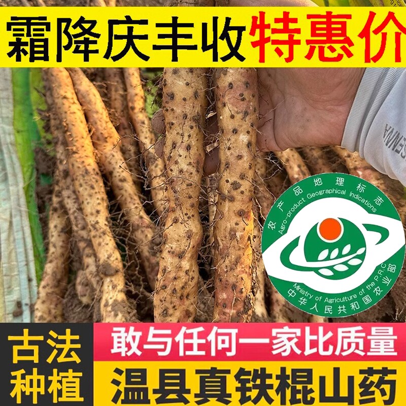 温县垆土铁棍山药新鲜蔬菜铁杆淮山药正宗河南焦作怀山药粉干5斤