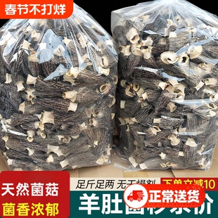 野生羊肚菌干货全剪柄云南丽江土特产菌菇羊肚蘑50克袋装新鲜煲汤