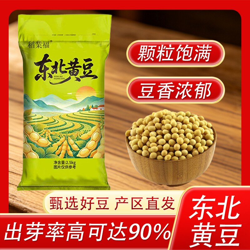 东北大豆黄豆黑龙江非转基因专用豆浆五谷杂粮豆芽早餐农家新豆