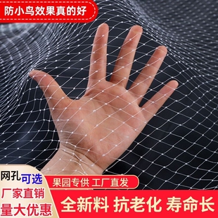 天网防护神器小鸟鱼塘种植养殖 防鸟网果园果树防鸟罩阳台葡萄用