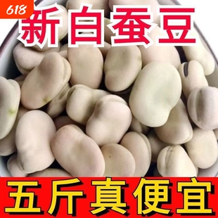 云南农家蚕豆干货生生干蚕豆特产胡豆生蚕豆农家佛豆生干货