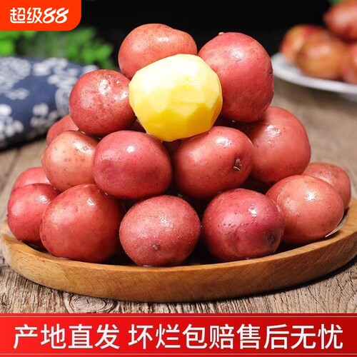 新鲜2026红皮黄心农家自种迷你小土豆高山马铃薯蔬菜洋芋包邮好吃
