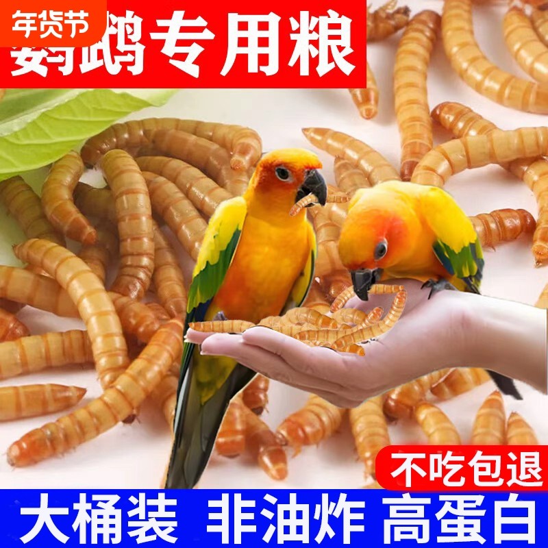面包虫鹦鹉专用鸟粮饲料虎皮玄凤牡丹画眉八哥面包黄粉虫干高蛋白