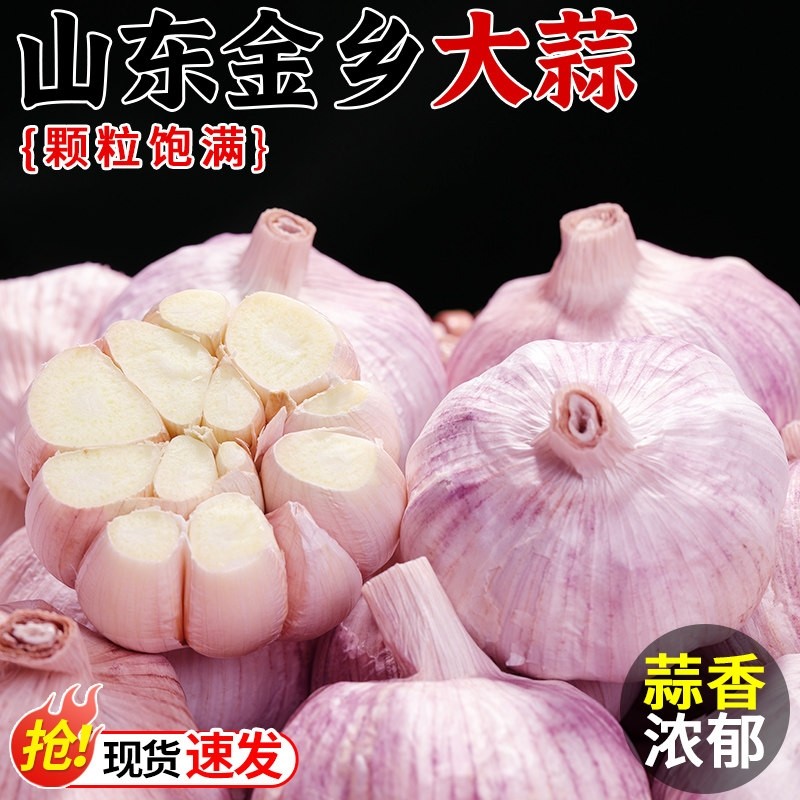 山东金乡大蒜3斤/5斤装紫白皮特大果干大蒜农家自种批发产地直发