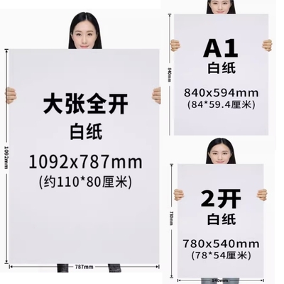 全开双胶纸白纸艺彩宸大白纸