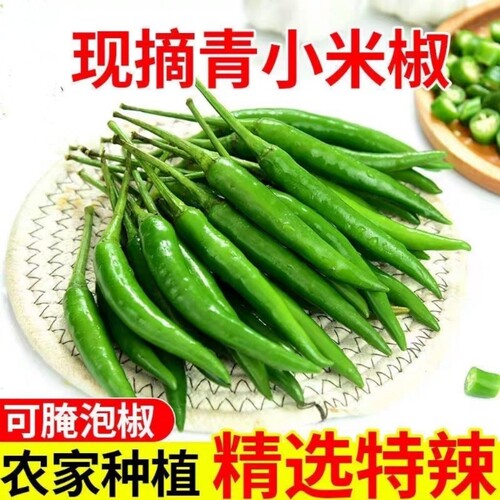 新鲜现摘小米辣青小米椒朝天椒农家自种绿色小米椒应季蔬菜批发