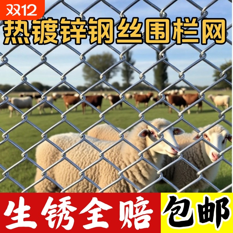 热镀锌铁丝网围栏网养鸡狗牛羊养殖网勾花网钢丝网户外防锈防护网