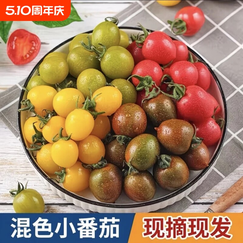 多彩小番茄（不低于5色）新鲜现摘现发彩色水果小柿子圣女果顺丰
