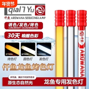 nec龙鱼专用6700K发色灯增色仟鱼三基色鱼缸灯红龙金龙鱼灯潜水灯