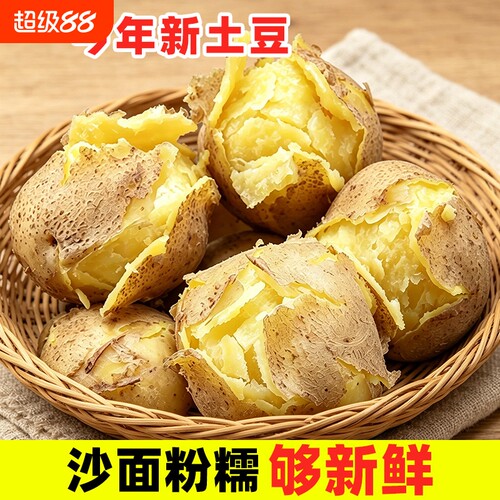 土豆定西甘肃沙面新鲜大个老品种洋芋马铃薯粉糯开花农家自种