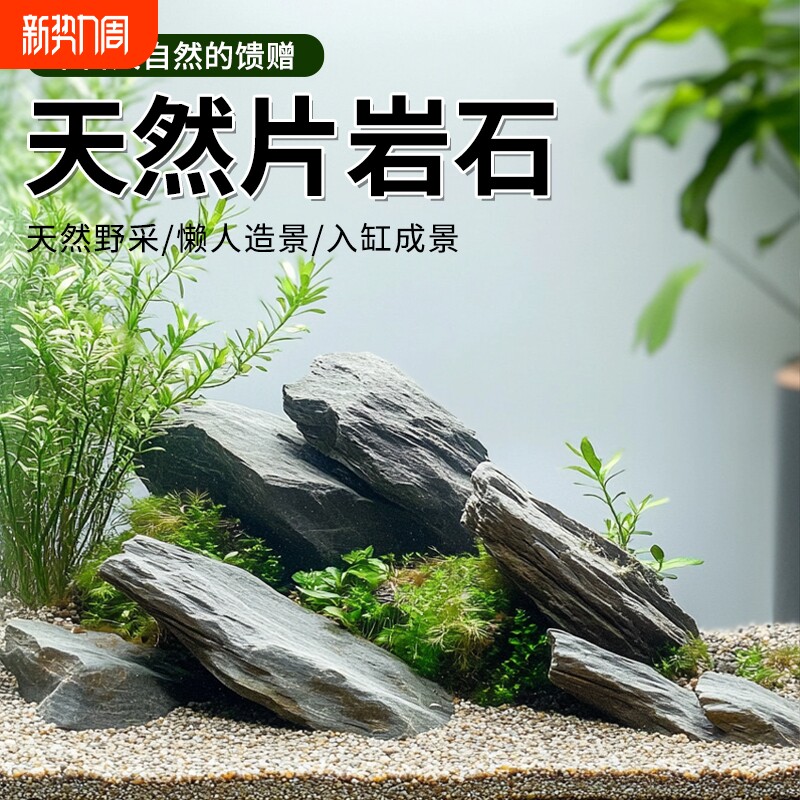 鱼缸造景石原生溪流石主石大块岩片石头底砂天然原石专用龟缸躲避
