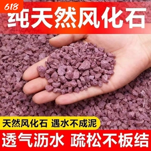 风化土海岛栀子花专用土酸性红土盆景土风化石赤玉桩专用土壤植物