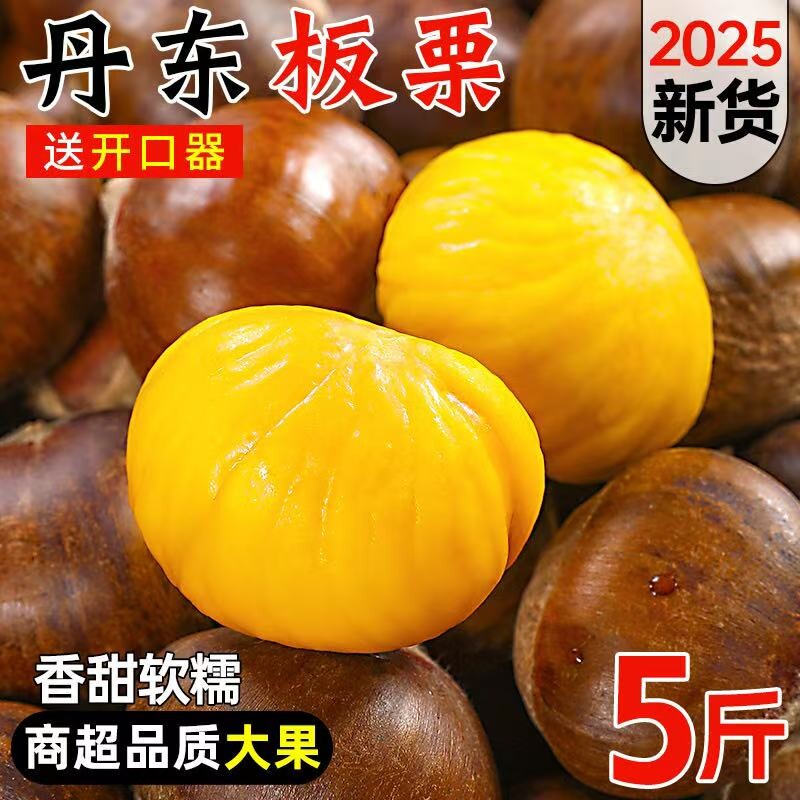 2025新鲜丹东板栗当季生板栗新下树鲜栗子现摘毛栗大板栗批发去皮
