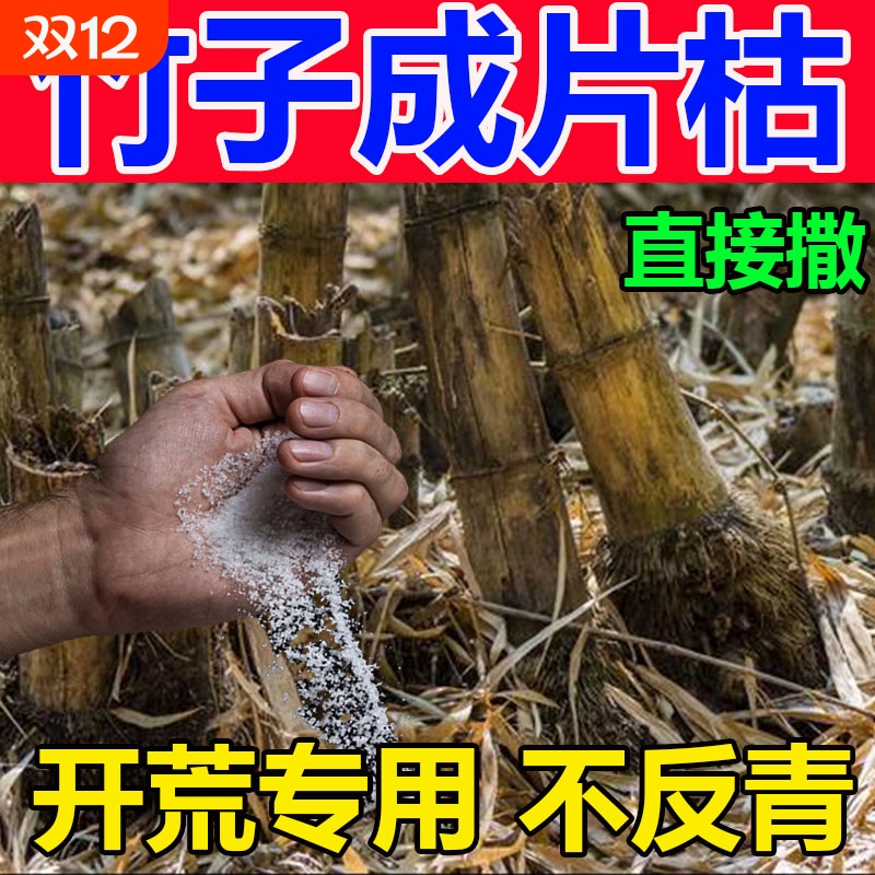 烂竹子的药竹根连根烂强力去竹粉