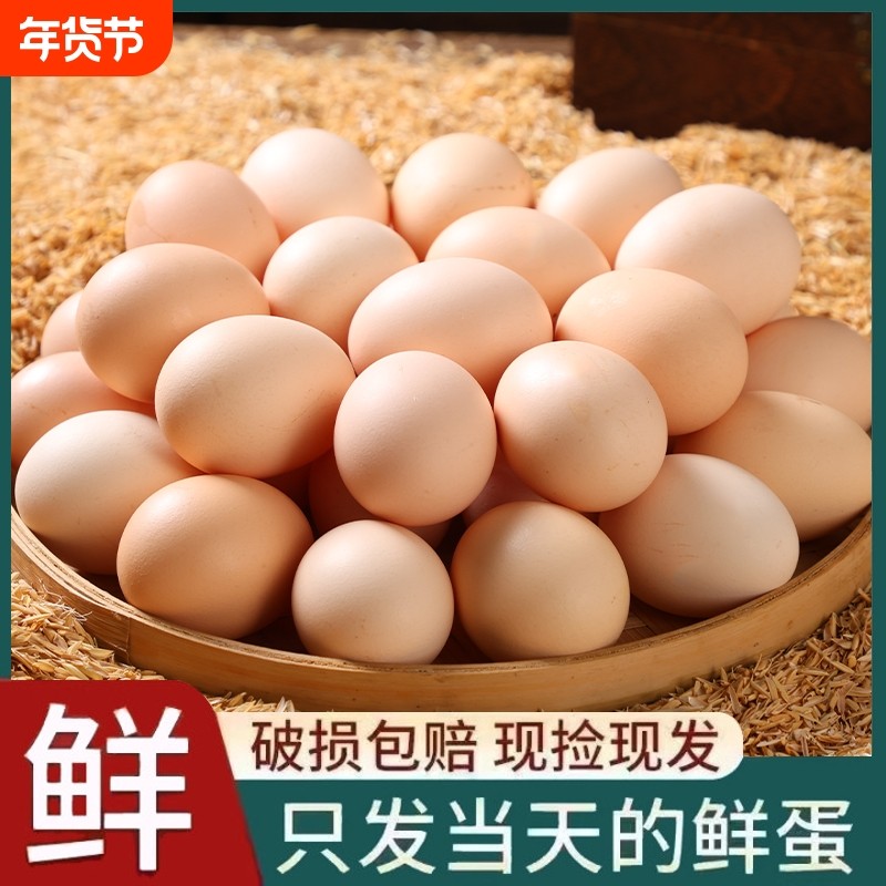农家自养土鸡蛋30枚粉壳鸡蛋散养谷物柴鸡蛋50枚初生蛋新鲜,水产肉类/新鲜蔬果/熟食,鸡蛋,淘宝优惠券,粉丝福利购,淘宝优惠卷