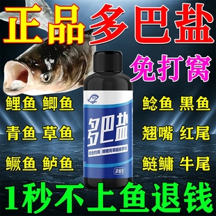 秋冬季 钓鱼小药鱼类饥饿激素多巴盐添加剂大板鲫鲤草专用饵料鲫鱼