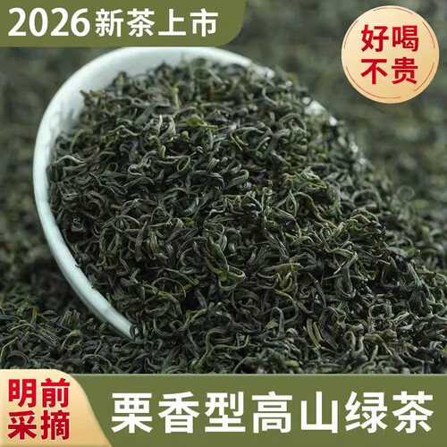 2026新茶绿茶叶毛尖茶浓香型日照高山云雾袋装春茶散装共500g明前