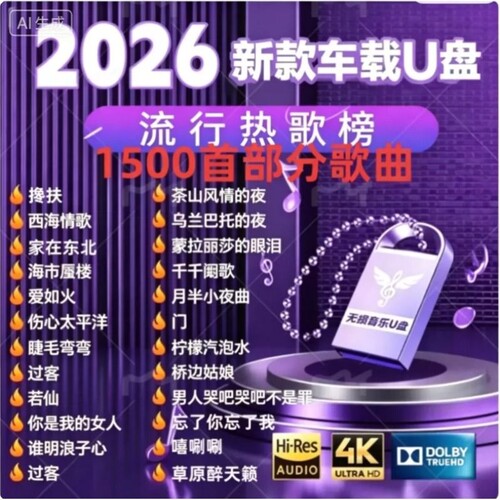 4G/1500首歌曲汽车音乐U盘高品质