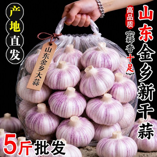 2026年山东金乡新干蒜大蒜头足干
