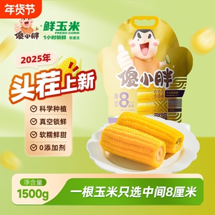 傻小胖2025内蒙古黄糯玉米新鲜软糯香甜代餐粘黏苞米段真空包装