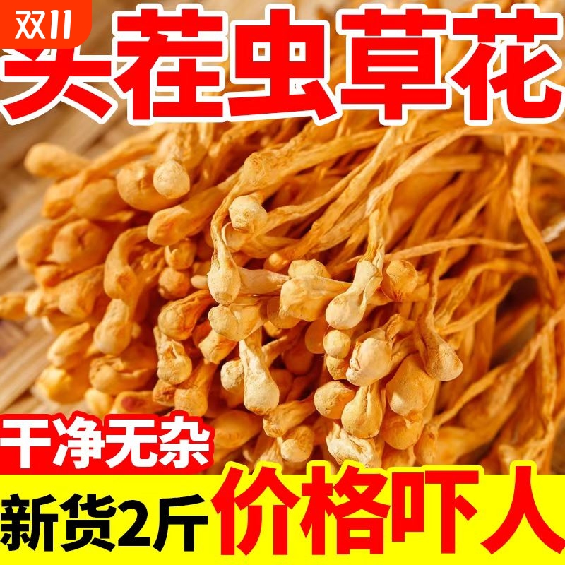 新货虫草花干货正品特级孢子头福建虫草蛹虫草优选野生煲汤材料