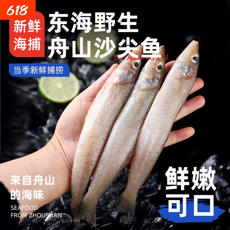 新鲜沙尖鱼冷冻批发尖梭鱼深海捕鱼非鲜活速冻舟山沙丁鱼旗舰店