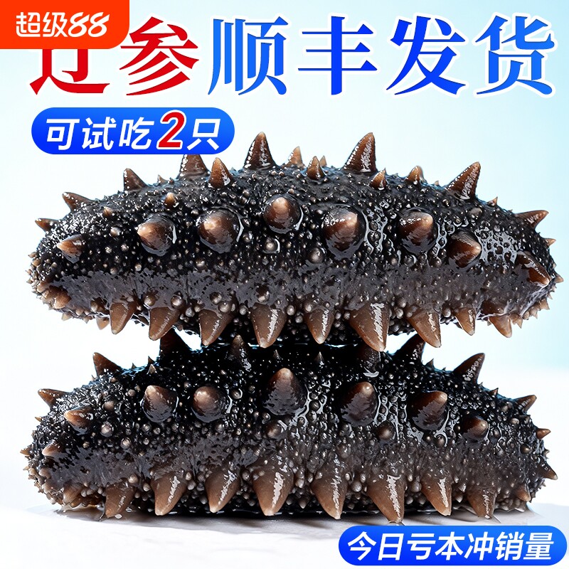 大连即食海参刺参礼盒淡干辽参官方旗舰店鲜活生海渗独立包装袋