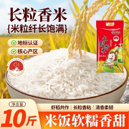 湖畔乡长粒香米20斤大米10斤丝苗米5斤猫牙米当季新米种植籼米