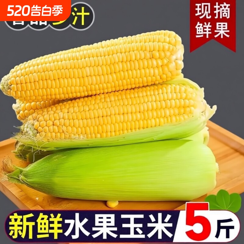甜玉米水果玉米新鲜多汁现摘香甜云南9斤爆浆甜脆玉米黄金糯玉米