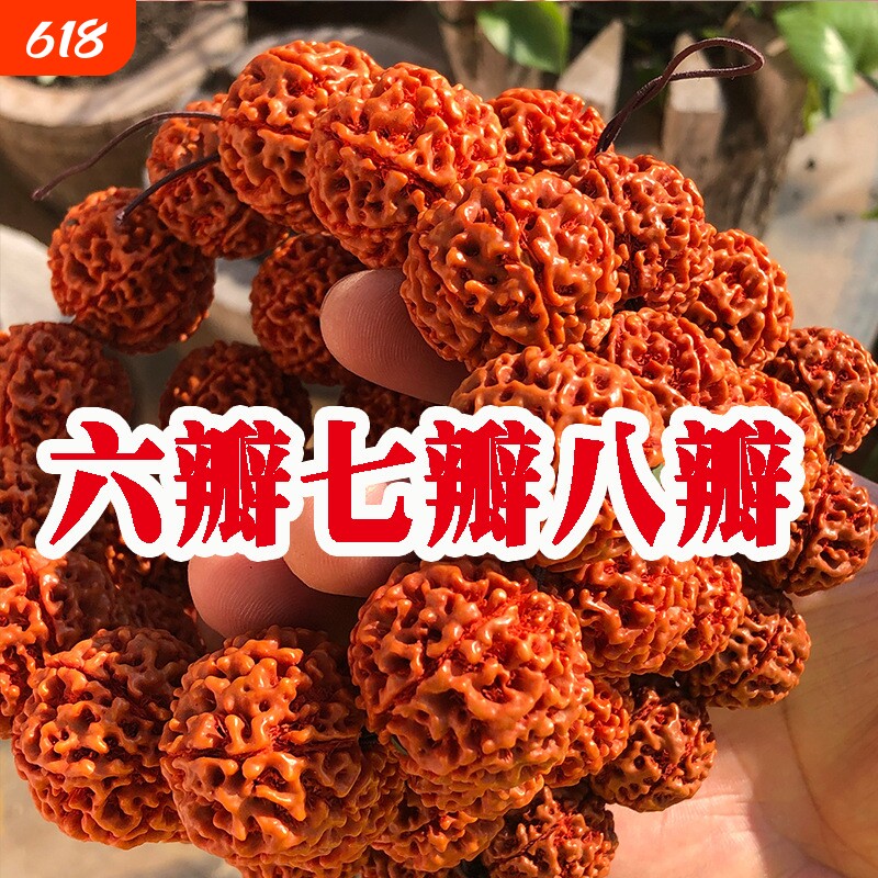 落地红印尼大金刚菩提手串七瓣八瓣男女爆肉双龙佛珠手链手持文玩