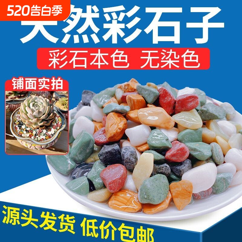 天然五彩石雨花石鱼缸造铺底盆栽水培多肉植物铺面装饰小石头