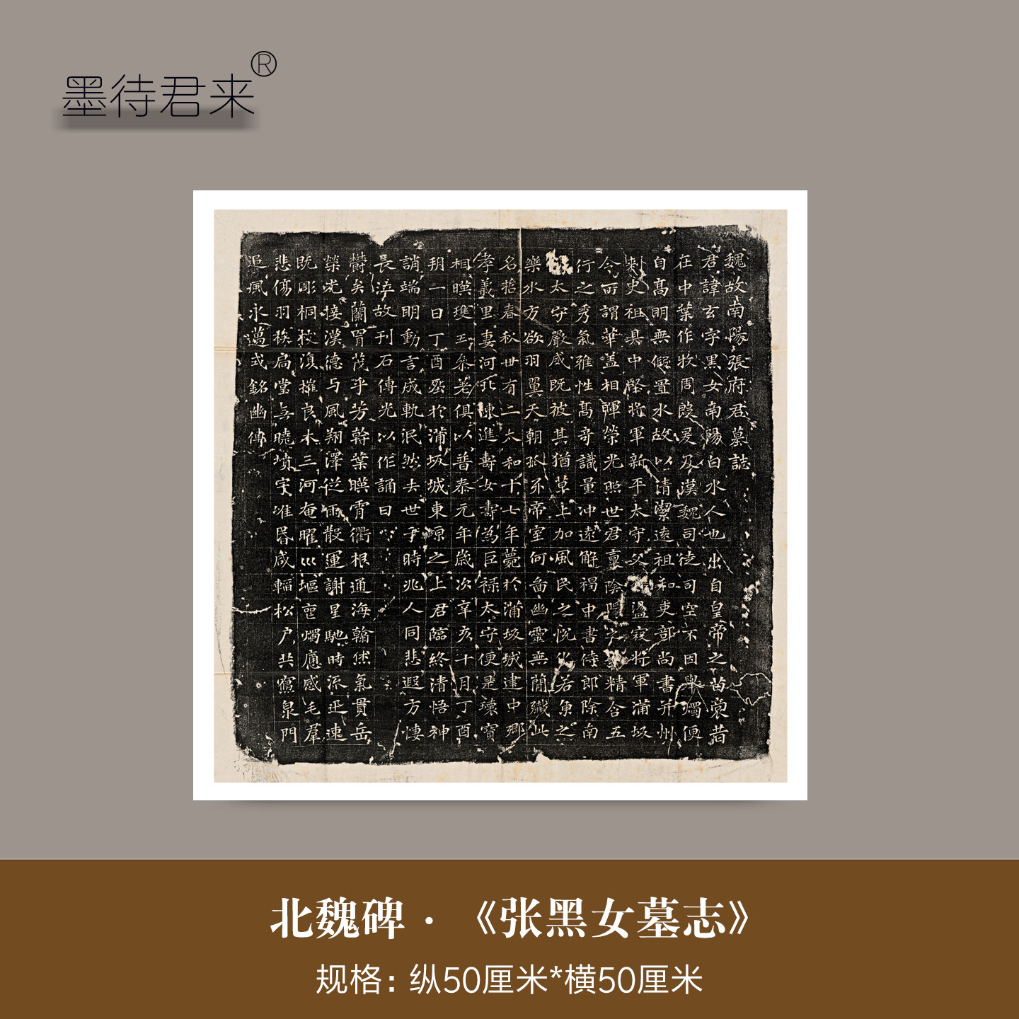北魏《张黑女墓志》魏碑临摹法帖