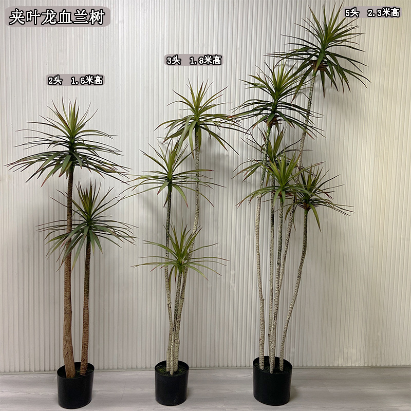 仿真绿植吊兰盆栽酒店家居装饰新品仿真龙血兰树中小型仿真千年木
