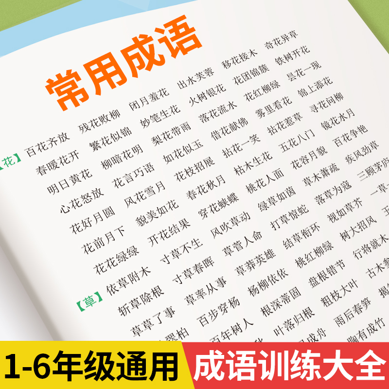 成语积累大全训练一二三四五六年级四字成语专项强化训练aabb式词语成语练习题