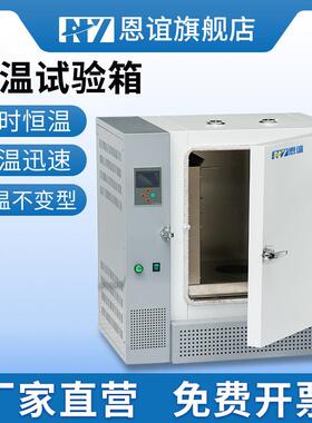 GW-50E高温试验箱工业老化箱实验室烘箱干燥箱烤箱恒温500度