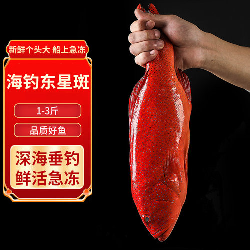 东星斑石斑鱼新鲜冷冻深海鱼海鲜