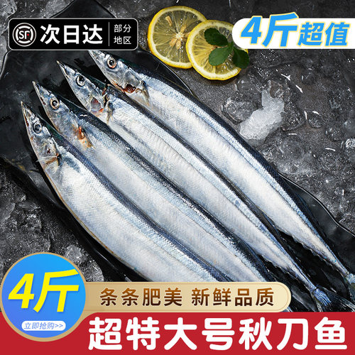 秋刀鱼新鲜冷冻日料烧烤食材特产