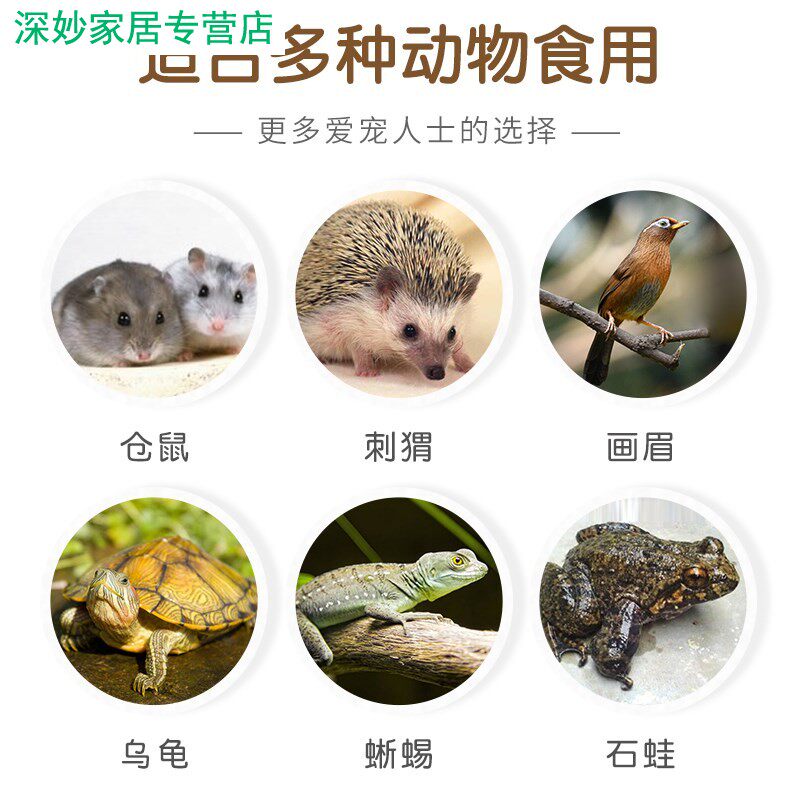 喂幼鸟吃的虫子小鸡鹦鹉百灵画眉八哥鱼饵食物燕子粮饲料面包虫活