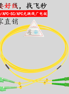 飞目E2000/APC-SC/APC3米单模双芯光跳线跳纤尾纤光连接线广电用8度duplex fiber Patchcord