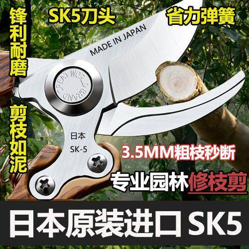 日本原装进口SK5钢园林大号专用修枝剪强力果树剪子粗树枝花剪刀