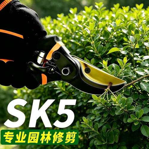 进口SK5德国工具修枝剪园艺剪日本大号枝剪子花木枝原装园林修