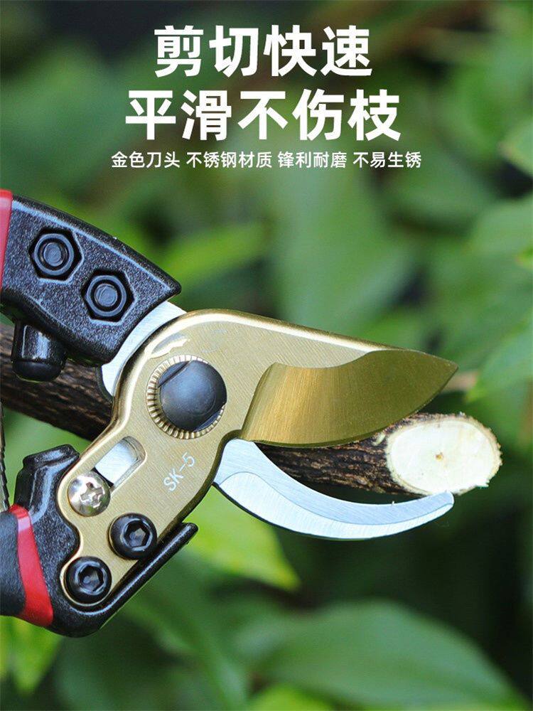 省力果树粗枝剪强力修枝剪苹果树梨树剪子果园盆景修剪必备工具