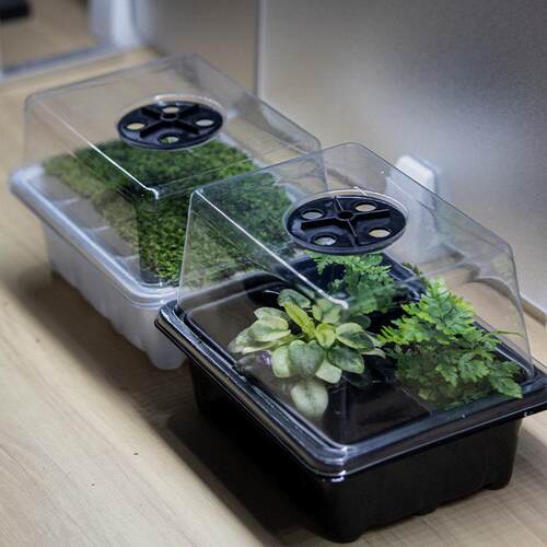「空城里」苔藓闷养盒植物繁殖箱扦插播种育苗盒12孔6孔育苗箱